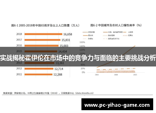 实战揭秘霍伊伦在市场中的竞争力与面临的主要挑战分析