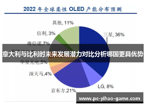 意大利与比利时未来发展潜力对比分析哪国更具优势