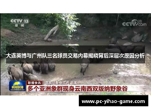 大连英博与广州队三名球员交易内幕揭晓背后深层次原因分析
