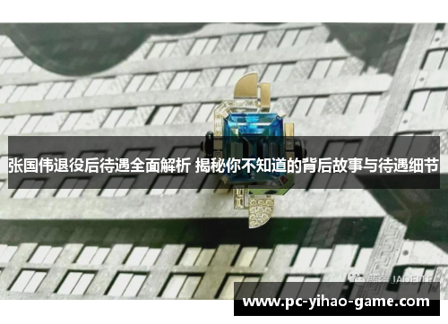 张国伟退役后待遇全面解析 揭秘你不知道的背后故事与待遇细节