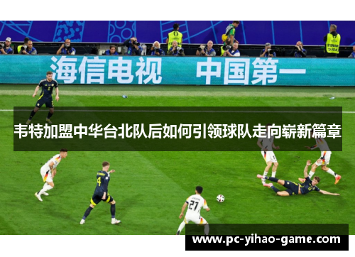 韦特加盟中华台北队后如何引领球队走向崭新篇章