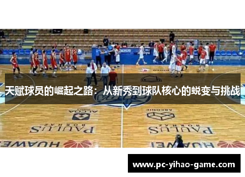 天赋球员的崛起之路：从新秀到球队核心的蜕变与挑战