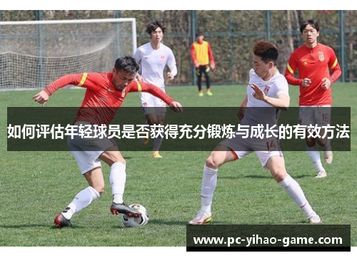 如何评估年轻球员是否获得充分锻炼与成长的有效方法