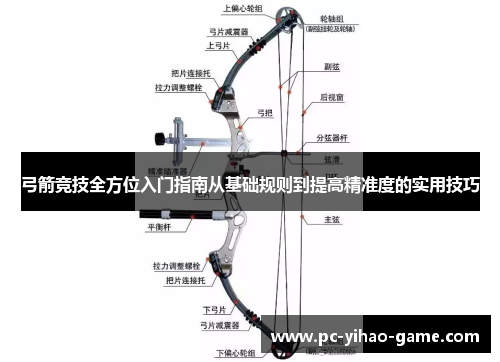 弓箭竞技全方位入门指南从基础规则到提高精准度的实用技巧