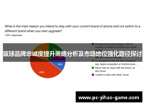 篮球品牌忠诚度提升策略分析及市场地位强化路径探讨