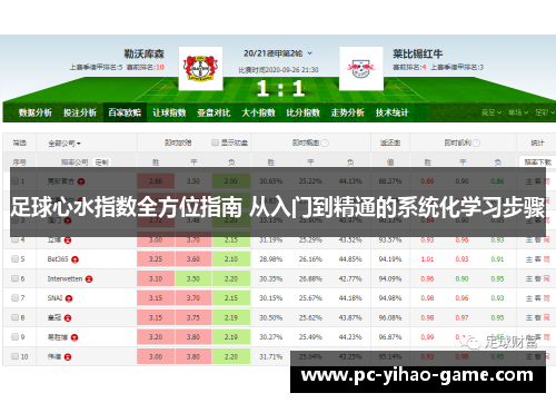 足球心水指数全方位指南 从入门到精通的系统化学习步骤